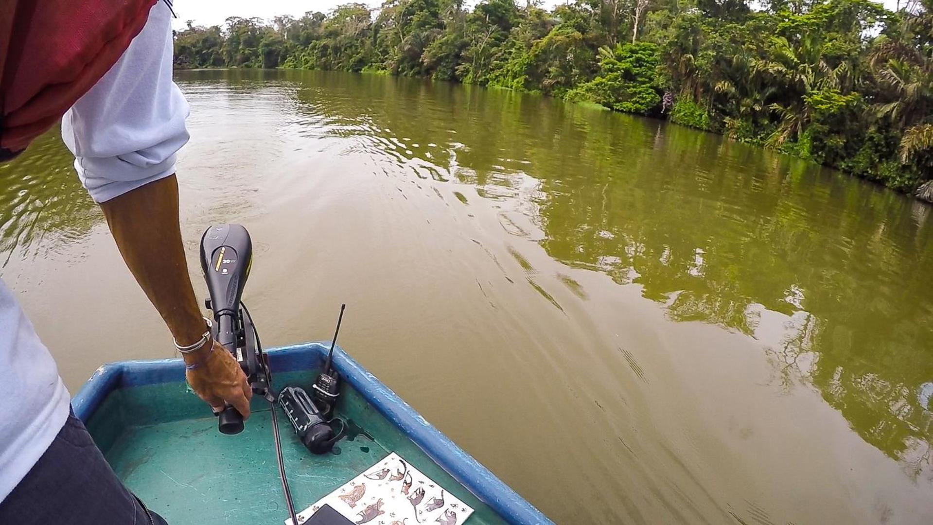 Tortuguero Adventures Beach House Εξωτερικό φωτογραφία