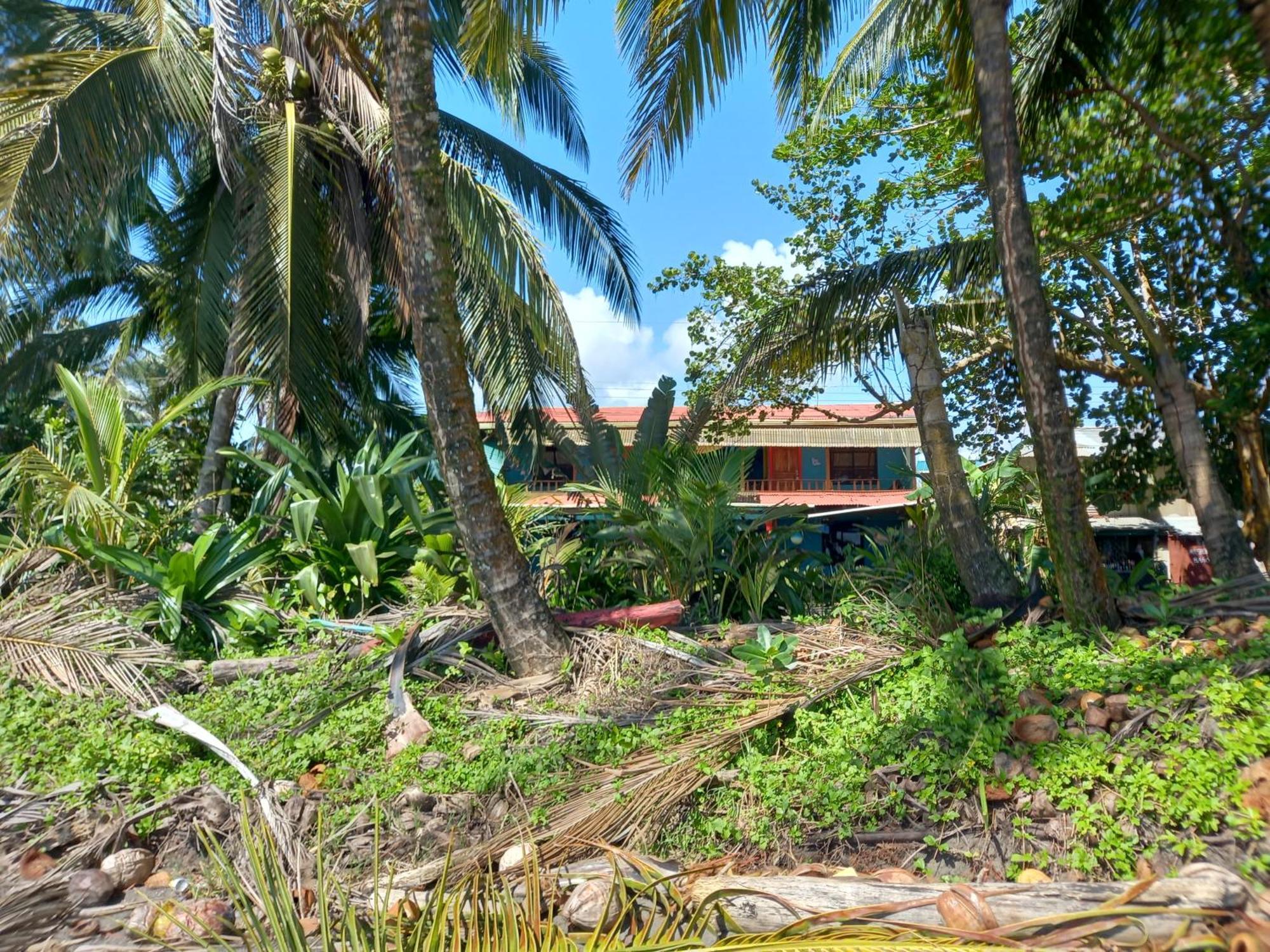 Tortuguero Adventures Beach House Εξωτερικό φωτογραφία