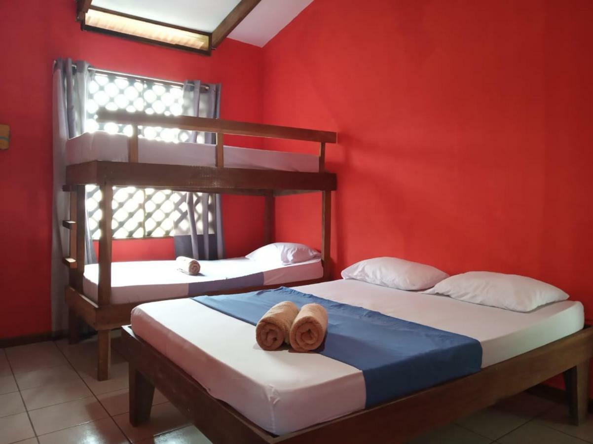 Tortuguero Adventures Beach House Εξωτερικό φωτογραφία
