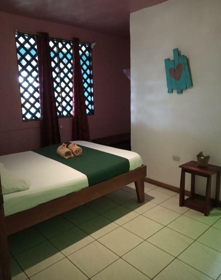 Tortuguero Adventures Beach House Εξωτερικό φωτογραφία