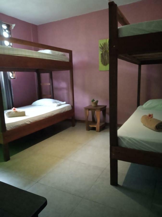 Tortuguero Adventures Beach House Εξωτερικό φωτογραφία